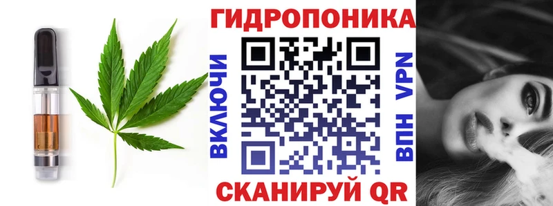 Canna-Cookies конопля  купить наркотик  Петухово 