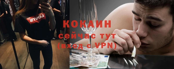 сатива Новодвинск