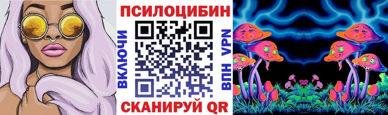 Псилоцибиновые грибы Cubensis  закладки  blacksprut маркетплейс  Петухово 